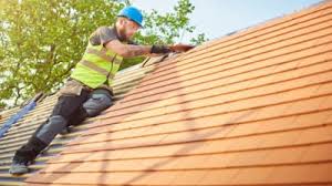 Best Skylight Installation and Repair  in Ridgeville, SC