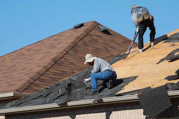 Best Roofing for New Construction  in Ridgeville, SC