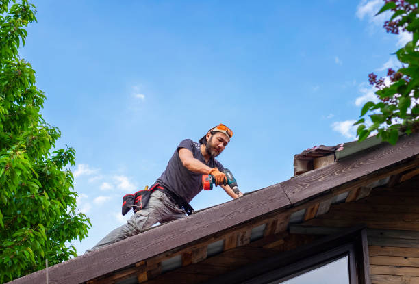 Best Gutter Installation and Repair  in Ridgeville, SC