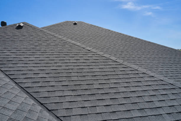 Best Roof Insulation Installation  in Ridgeville, SC